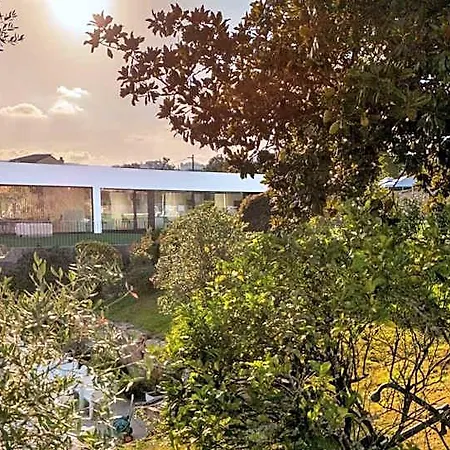 Amoriño Hotel 3*