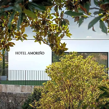 Hotel Amoriño 3*
